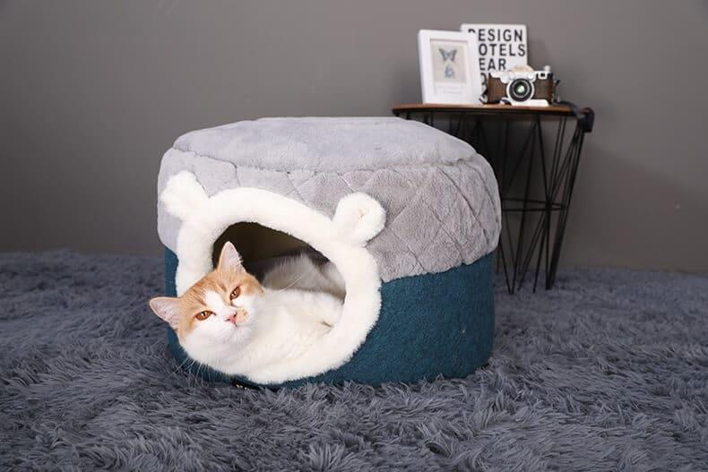 Pet Comfort & Living